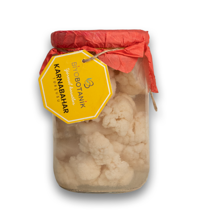 BİYOBOTANİK TURŞU KARNIBAHAR  660CC*6