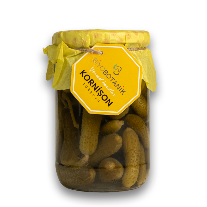 BİYOBOTANİK TURŞU JELEPON 660CC*6