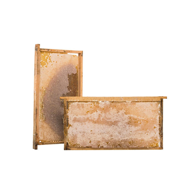 SULTAN ÇITA KARAKOVAN  BAL