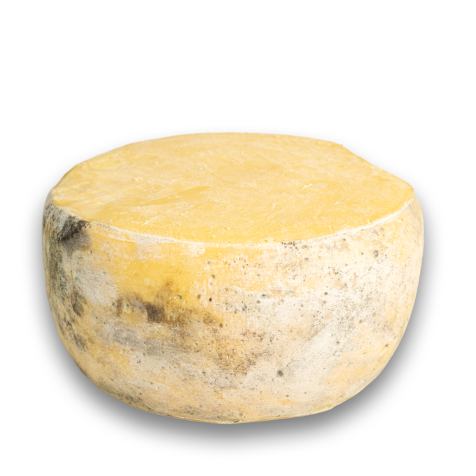 ALDOĞRU KOYUN ESKİ KAŞAR PEYNİRİ